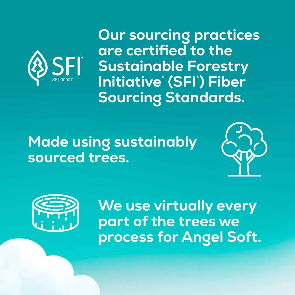 Angel Soft Toilet Paper